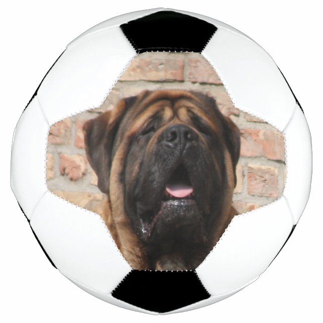 Bola De Futebol Mastiff englische Dogge (Frente)