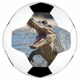 Bola De Futebol Maxilares Assustadores: Crocodilo Australiano Salt