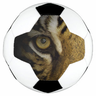 Bola De Futebol No Olho de um Tigre