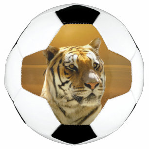 Bola De Futebol Ouro Tiger