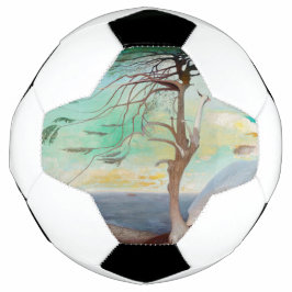 Bola De Futebol Paisagem Paisagem de Árvore Cedar do solitário