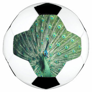 Bola De Futebol Peacock Strut