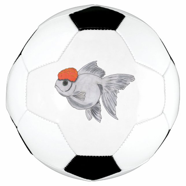 Bola De Futebol Peixes de Pet de Peixes Brancos e Laranja de Orand (Frente)