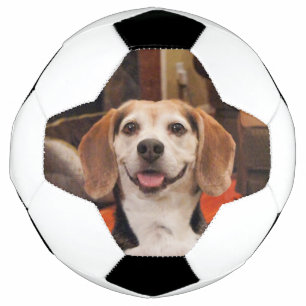 Bola De Futebol Personalizar a Foto Pet Foto Moderna do Cole
