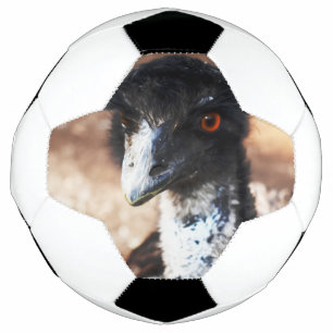 Bola De Futebol Piercing Eyes of Outback