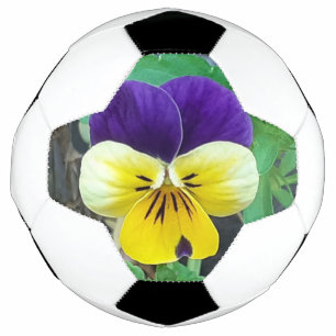 Bola De Futebol Púrpura e amarela