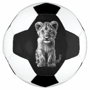 Bola De Futebol Querida, Cinza de gatos grandes