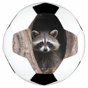 Bola De Futebol Racoon na Caverna das Árvores