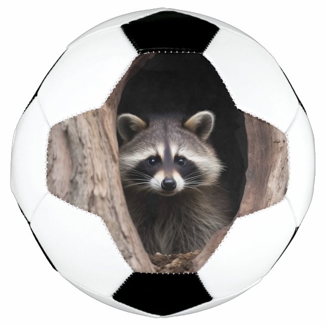 Bola De Futebol Racoon na Caverna das Árvores (Frente)