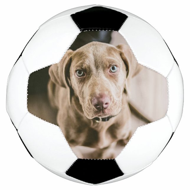 Bola De Futebol Retrato de cão (Frente)