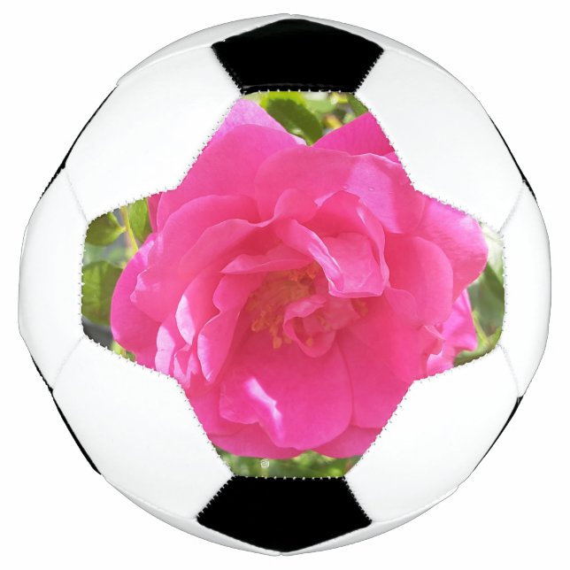 Bola De Futebol Rosa Rosa Rosa (Frente)