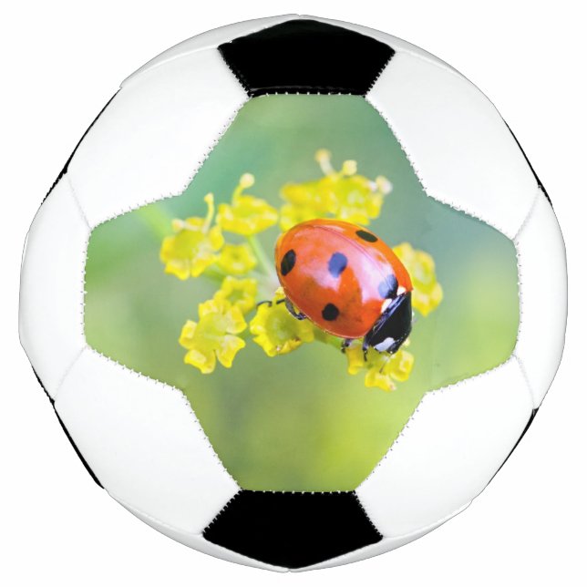 Bola De Futebol senhora por cima (Frente)