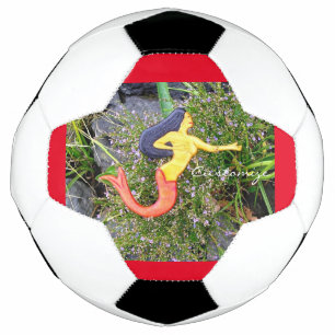 Bola De Futebol sereia redtailed do sirena