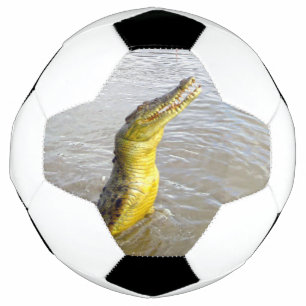 Bola De Futebol Snappers Assustadores: O Salto do Crocodilo,