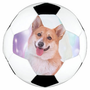 Bola De Futebol Sorriso Welsh Corgi