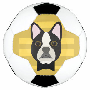 Bola De Futebol Terrier de Boston