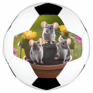 Bola De Futebol Três Camundongos Em Potes Flores,