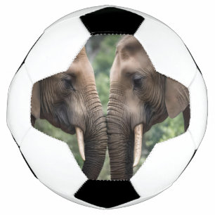 Bola De Futebol "Tronco para Tronco: Um Gentil Embrace Elefante"