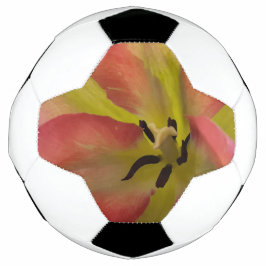 Bola De Futebol Tulipa Rosa e Amarela