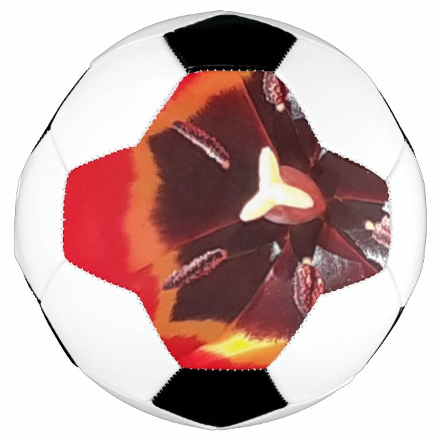 Bola De Futebol Tulipa Vermelha Escarlate (Frente)