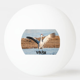 Bola de Ping Pong KAKAW