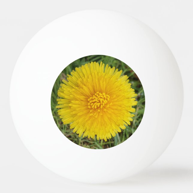 Bola de Pinos de Três Estrelas da Flor Amarela (Frente)