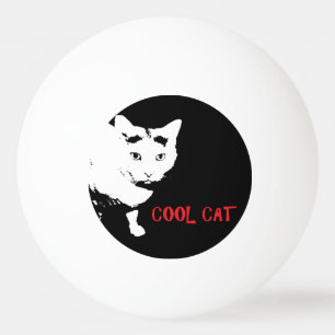 BOLA DE PONG CAT PING legal