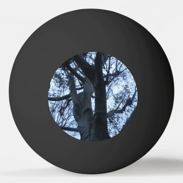 Bola de Pong do Ping com Fotografia em Árvore (Frente)