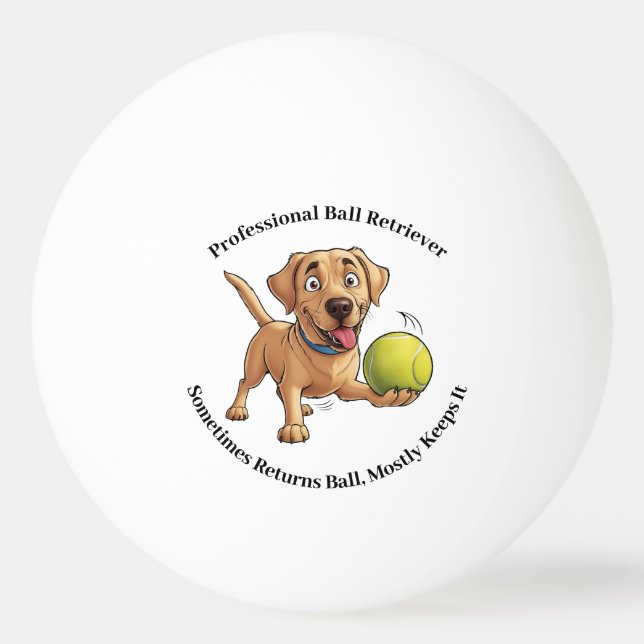 Bola de Pong do Retriever de Bola Profissional (Frente)