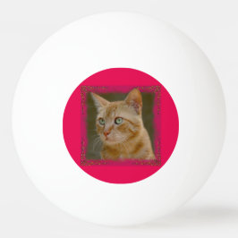 Bola de Pong do sibilo do gato do gengibre