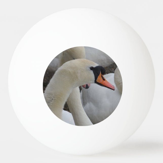 Bola de Pong do Swan Branco Três Estrelas (Frente)