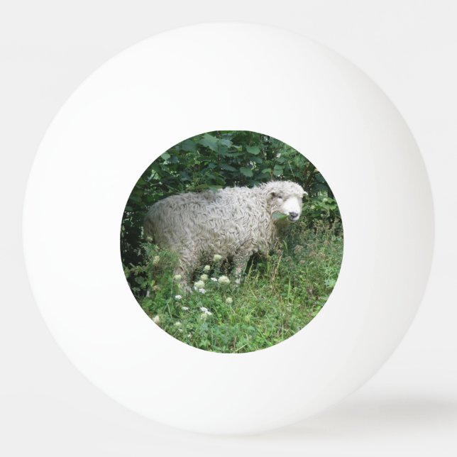 Bola de Pong Ping, Gelada Branca, Gelada, (Frente)
