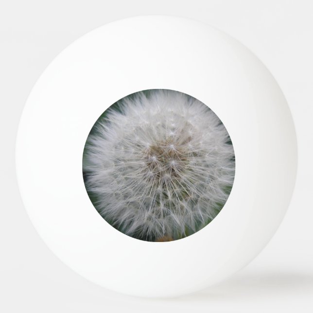 Bola do Pong do Flor Dandelion (Frente)