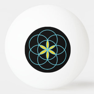 Bolas Ping Pong