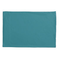 Bold Aqua Solid Color Pairs Satin Rolling Surf