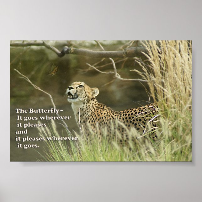 BOLETIM DE POSTER DE MANTEIGA DE CHEETAQUE (Frente)