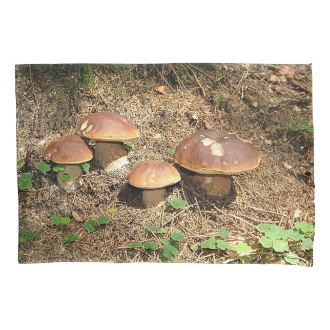 boletus (Frente)