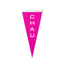 Boliche Personalizada - Sobrenome de 4 letras