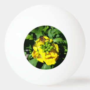 Bolinha De Ping Pong Abelhas nas Flores Amarelas