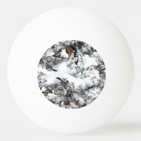 Abstrato de Neve