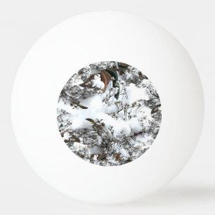 Bolinha De Ping Pong Abstrato de Neve