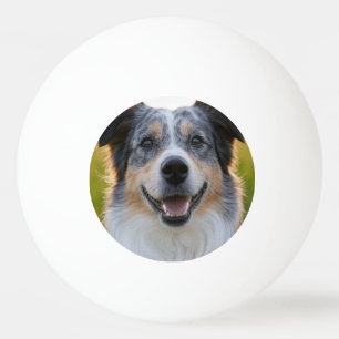 Bolinha De Ping Pong Adicionar Foto de Animal Personalizar