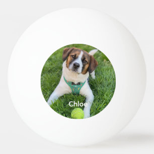 Bolinha De Ping Pong Adicione sua foto Foto de cachorro Foto de criança
