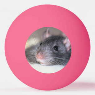 Bolinha De Ping Pong Adorável