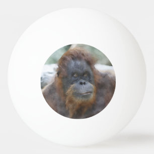 Bolinha De Ping Pong Aguarela Orang