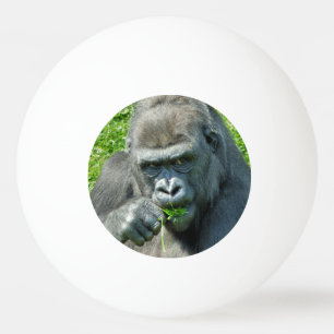 BOLINHA DE PING PONG ANIMAIS SELVAGENS - GORILAS