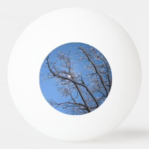 Bolinha De Ping Pong Árvores cobertos de neve de brilho do gelo