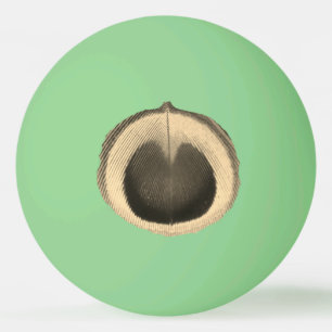 Bolinha De Ping Pong Baile de Pong - Peacock Eye