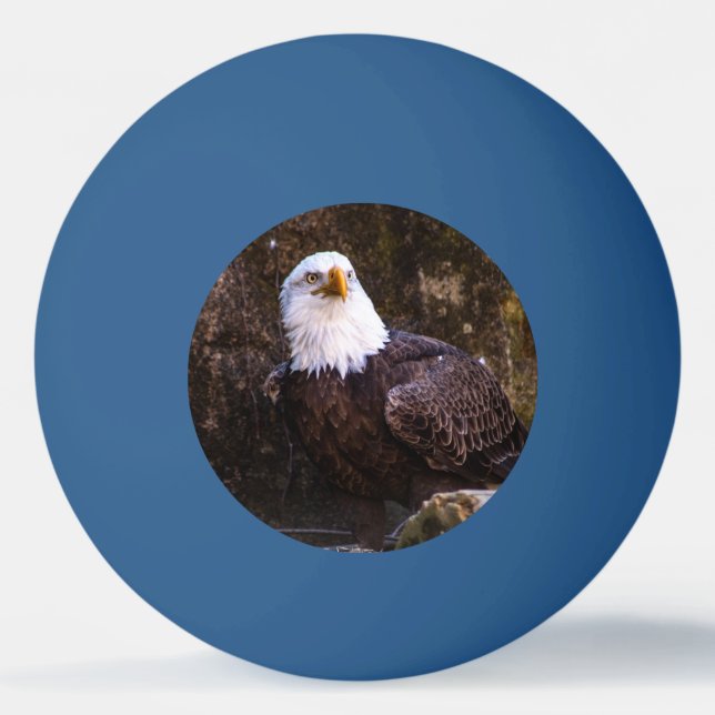 Bolinha De Ping Pong Bald Eagle (Frente)
