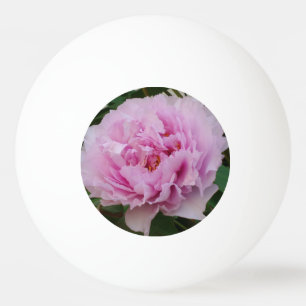Bolinha De Ping Pong Bela Rosa Três Estrelas Ping Pong Ball